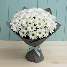 Букет цветов из:  Хризантемы #REPLACE_PRED# Глухово