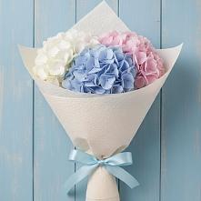 Букет цветов из:  Гортензия в Глухово