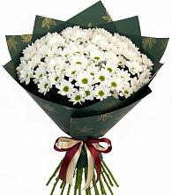 Букет цветов из:  Хризантемы #REPLACE_PRED# Глухово