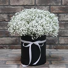 Цветочная композиция из Гипсофила в шляпной коробке #REPLACE_PRED# Глухово
