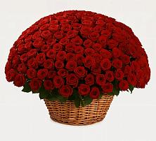 Премиум букет из: Розы в Глухово